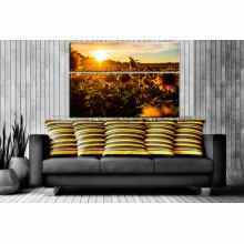 -зображення