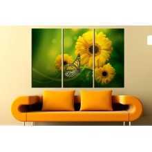 -зображення