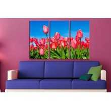 -зображення