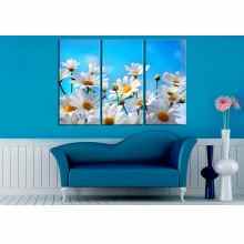 -зображення