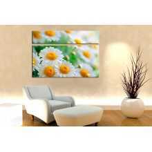 -зображення