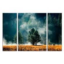 -зображення