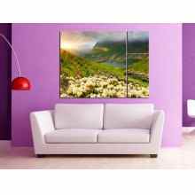 -зображення