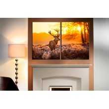 -зображення