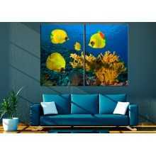 -зображення