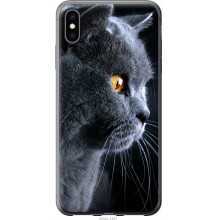 -зображення