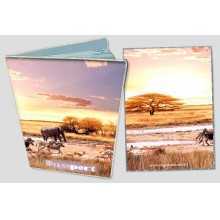 -зображення