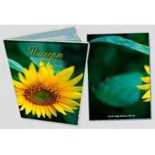 -зображення