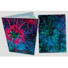 -зображення