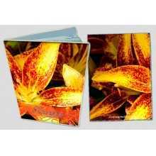 -зображення